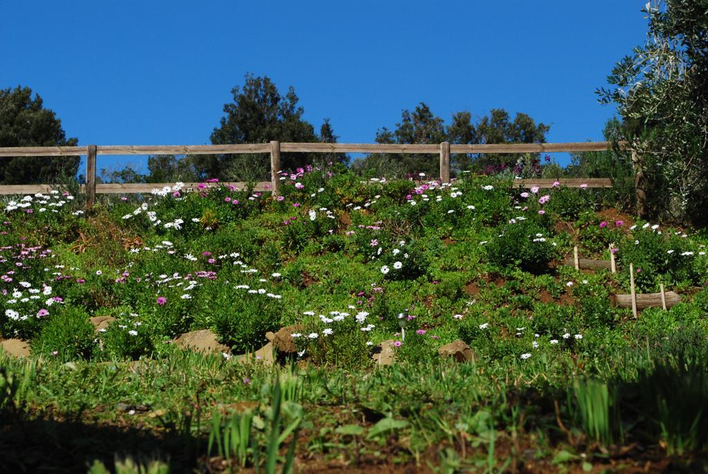 Agriturismo Val Di Nappo Castiglione della Pescaia Exteriér fotografie